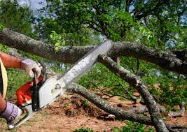 Best Lawn Irrigation Installation and Maintenance  in Quartzsite, AZ